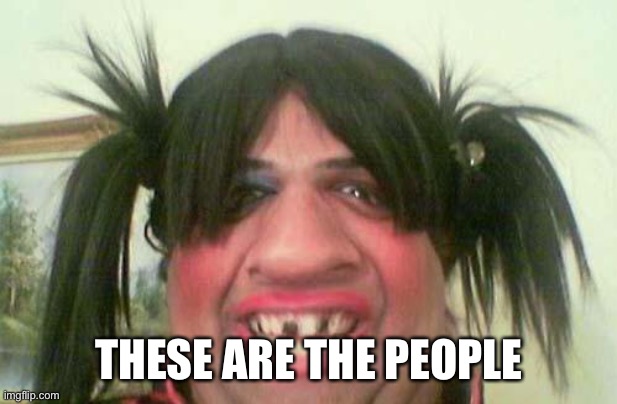 ugly woman with pigtails | THESE ARE THE PEOPLE | image tagged in ugly woman with pigtails | made w/ Imgflip meme maker
