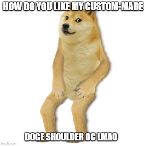 Doge Shoulder OC | HOW DO YOU LIKE MY CUSTOM-MADE; DOGE SHOULDER OC LMAO | image tagged in doge shoulder oc | made w/ Imgflip meme maker