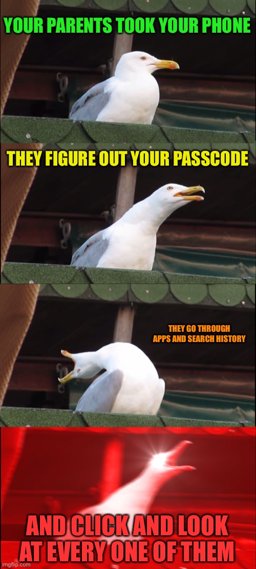 Image Title | YOUR PARENTS TOOK YOUR PHONE; THEY FIGURE OUT YOUR PASSCODE; THEY GO THROUGH APPS AND SEARCH HISTORY; AND CLICK AND LOOK AT EVERY ONE OF THEM | image tagged in memes,inhaling seagull,oh wow are you actually reading these tags | made w/ Imgflip meme maker