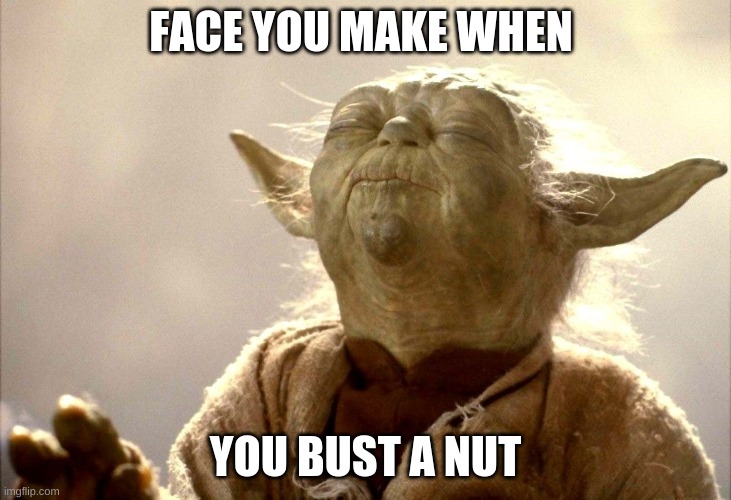 i mean am i wrong or am i right ;) | FACE YOU MAKE WHEN; YOU BUST A NUT | image tagged in yoda i sense,i sense also | made w/ Imgflip meme maker
