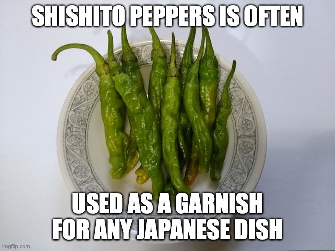 Shishito Peppers | SHISHITO PEPPERS IS OFTEN; USED AS A GARNISH FOR ANY JAPANESE DISH | image tagged in peppers,memes | made w/ Imgflip meme maker