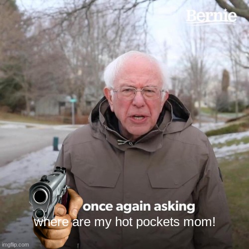 Bernie I Am Once Again Asking For Your Support Meme | where are my hot pockets mom! | image tagged in memes,bernie i am once again asking for your support | made w/ Imgflip meme maker