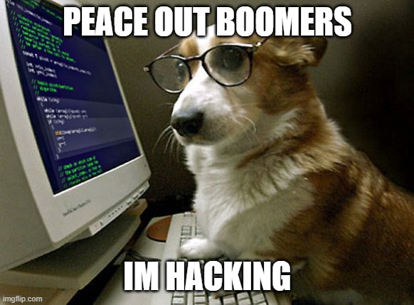 corgi hacker | PEACE OUT BOOMERS; IM HACKING | image tagged in corgi hacker | made w/ Imgflip meme maker