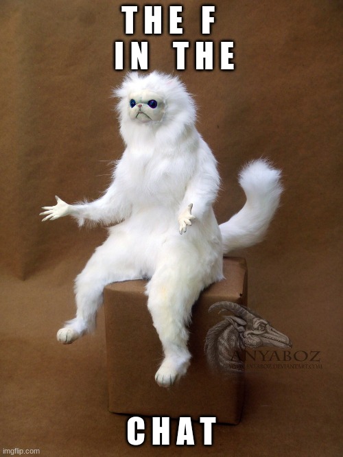 Persian Cat Room Guardian Single Meme | T H E   F   I N    T H E C H A T | image tagged in memes,persian cat room guardian single | made w/ Imgflip meme maker