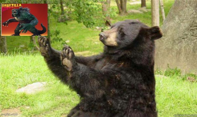 How about no bear | image tagged in how about no bear | made w/ Imgflip meme maker
