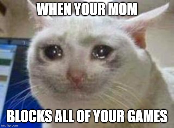 Sad cat | WHEN YOUR MOM; BLOCKS ALL OF YOUR GAMES | image tagged in sad cat | made w/ Imgflip meme maker