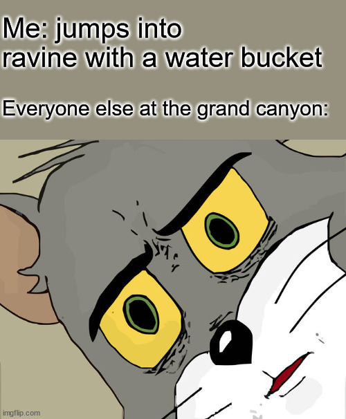 Unsettled tom | Me: jumps into ravine with a water bucket; Everyone else at the grand canyon: | image tagged in memes,unsettled tom | made w/ Imgflip meme maker