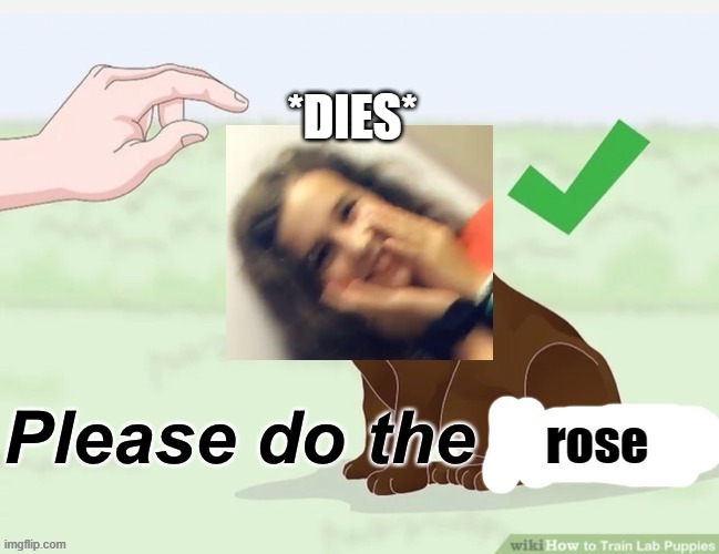 *DIES* | image tagged in please do the rose | made w/ Imgflip meme maker