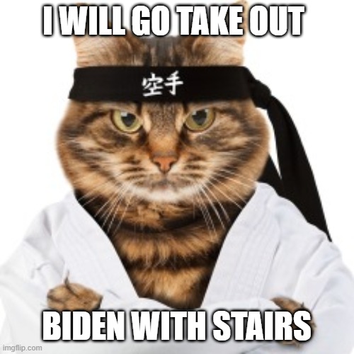 Karate cat | I WILL GO TAKE OUT; BIDEN WITH STAIRS | image tagged in karate cat | made w/ Imgflip meme maker