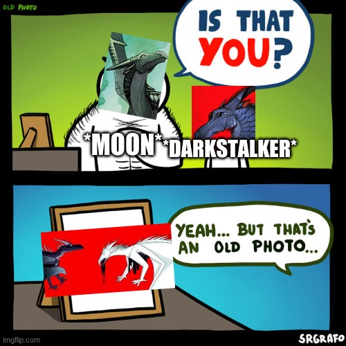 no |  *MOON*; *DARKSTALKER* | image tagged in is that you yeah but that's an old photo,wings of fire,funny | made w/ Imgflip meme maker
