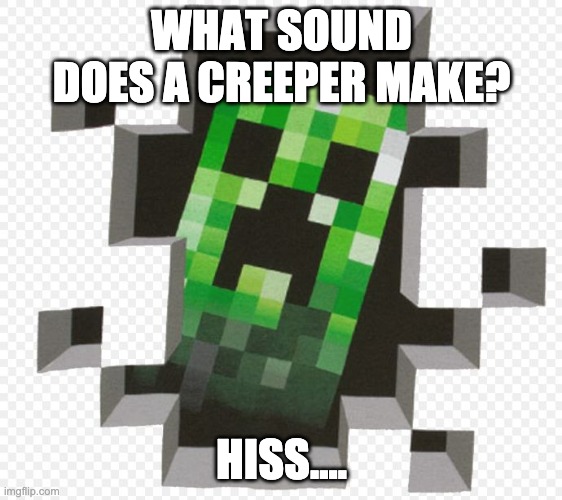 Minecraft Creeper | WHAT SOUND DOES A CREEPER MAKE? HISS.... | image tagged in minecraft creeper | made w/ Imgflip meme maker