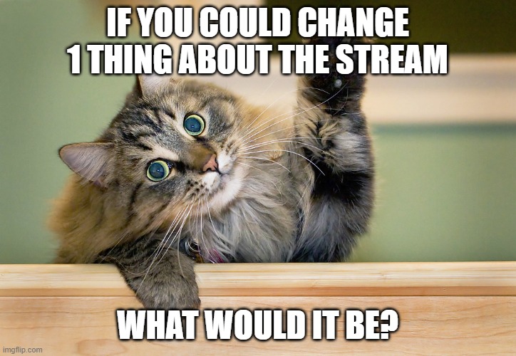 Literally anything, it doesn't have to be profound or spectacular. It can also be about the current state of the stream. | IF YOU COULD CHANGE 1 THING ABOUT THE STREAM; WHAT WOULD IT BE? | image tagged in i would wish,that this stream,would no longer be,a hellhole | made w/ Imgflip meme maker