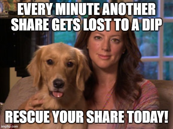 Sarah McLachlan | EVERY MINUTE ANOTHER SHARE GETS LOST TO A DIP; RESCUE YOUR SHARE TODAY! | image tagged in sarah mclachlan | made w/ Imgflip meme maker