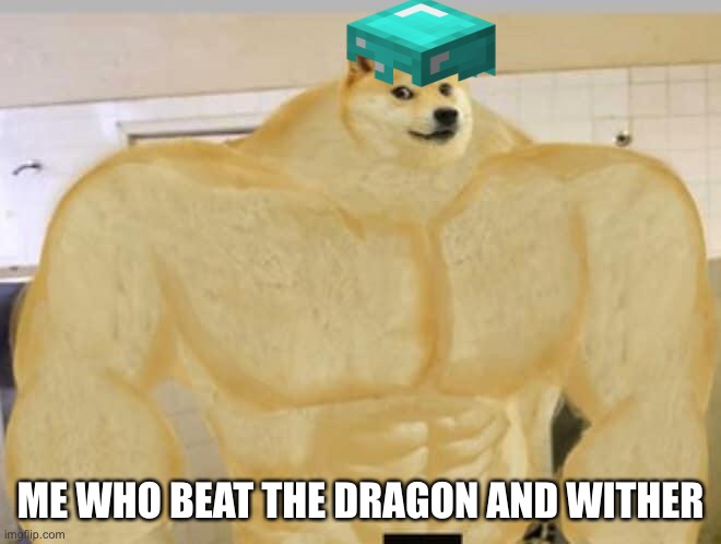 Buff Doge | ME WHO BEAT THE DRAGON AND WITHER | image tagged in buff doge | made w/ Imgflip meme maker