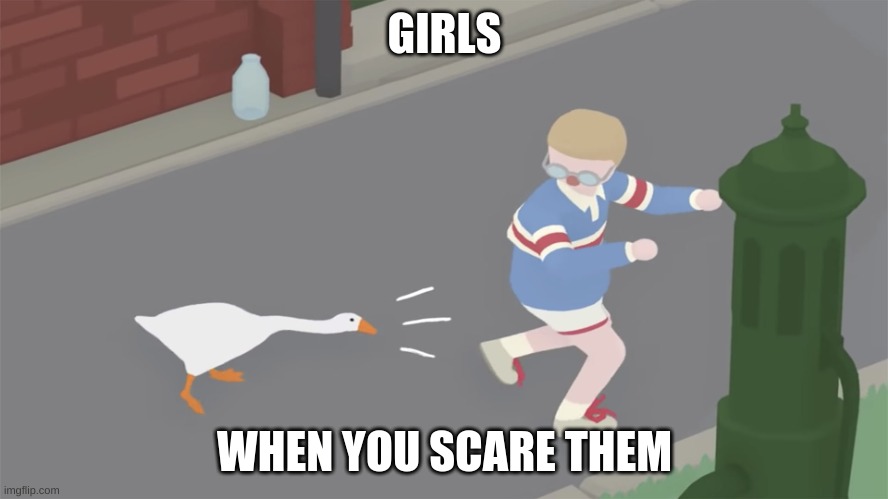 true | GIRLS; WHEN YOU SCARE THEM | image tagged in goose game honk | made w/ Imgflip meme maker