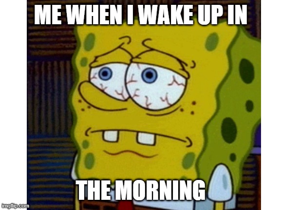 in the morning | ME WHEN I WAKE UP IN; THE MORNING | image tagged in relatable,sleepy | made w/ Imgflip meme maker