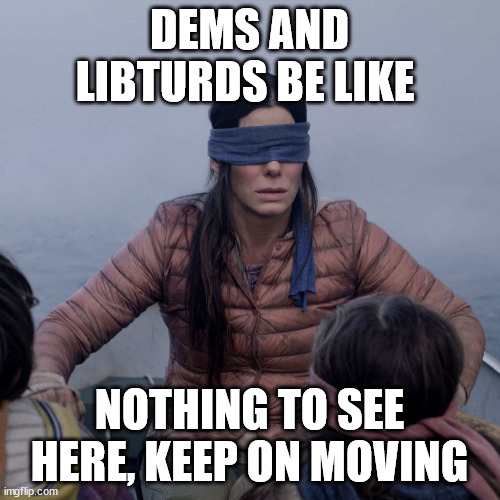 Bird Box Meme | DEMS AND LIBTURDS BE LIKE NOTHING TO SEE HERE, KEEP ON MOVING | image tagged in memes,bird box | made w/ Imgflip meme maker