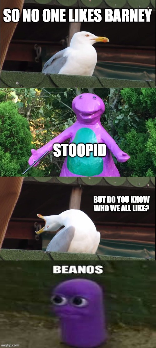 NO ONE LIKES BARNEY | SO NO ONE LIKES BARNEY; STOOPID; BUT DO YOU KNOW WHO WE ALL LIKE? | image tagged in memes,inhaling seagull | made w/ Imgflip meme maker