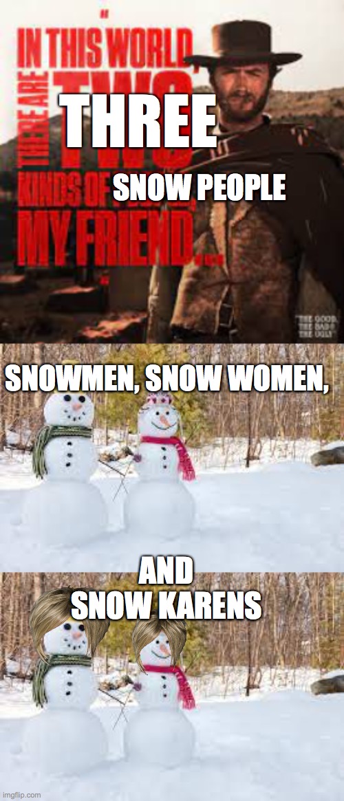 Three kinds of snow people | THREE; SNOW PEOPLE; SNOWMEN, SNOW WOMEN, AND SNOW KARENS | image tagged in karen,snow | made w/ Imgflip meme maker