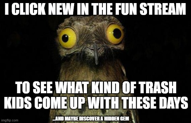 NGL, it's mostly junk | I CLICK NEW IN THE FUN STREAM; TO SEE WHAT KIND OF TRASH KIDS COME UP WITH THESE DAYS; ...AND MAYBE DISCOVER A HIDDEN GEM | image tagged in memes,weird stuff i do potoo | made w/ Imgflip meme maker