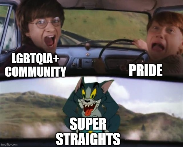 Somebody call dumbledore we got super straight slytherins | PRIDE; LGBTQIA+ COMMUNITY; SUPER STRAIGHTS | image tagged in tom chasing harry and ron weasly | made w/ Imgflip meme maker