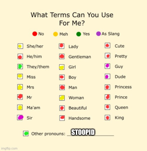 My pronouns :D | STOOPID | image tagged in pronouns sheet | made w/ Imgflip meme maker