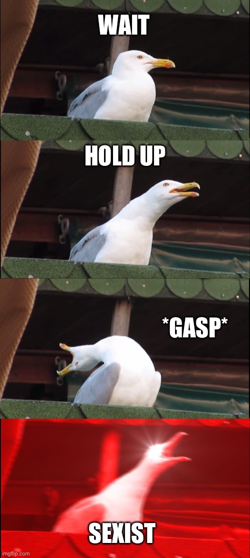 Inhaling Seagull Meme | WAIT HOLD UP *GASP* SEXIST | image tagged in memes,inhaling seagull | made w/ Imgflip meme maker