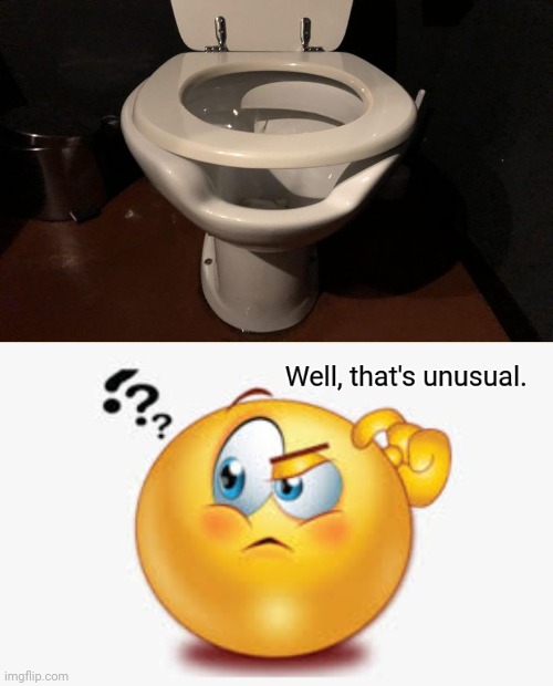 Unusual toilet | image tagged in well that's unusual,toilet,you had one job,memes,meme,bathroom | made w/ Imgflip meme maker