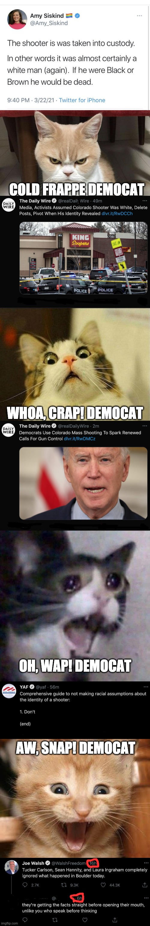 Cats react to Tweets | COLD FRAPPE DEMOCAT; WHOA, CRAP! DEMOCAT; OH, WAP! DEMOCAT; AW, SNAP! DEMOCAT | image tagged in cat angry,scared cat,screaming cat meme,excited cat,cats,cat reading | made w/ Imgflip meme maker