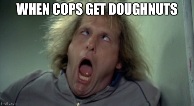 Truth | WHEN COPS GET DOUGHNUTS | image tagged in memes,scary harry | made w/ Imgflip meme maker