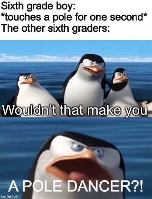 Wouldn’t that make you | Sixth grade boy: *touches a pole for one second*
The other sixth graders:; A POLE DANCER?! | image tagged in wouldn t that make you | made w/ Imgflip meme maker