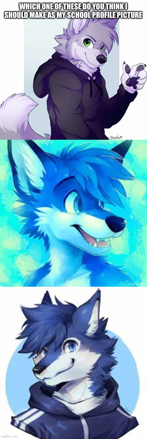 None of the art is mine | WHICH ONE OF THESE DO YOU THINK I SHOULD MAKE AS MY SCHOOL PROFILE PICTURE | image tagged in furries | made w/ Imgflip meme maker