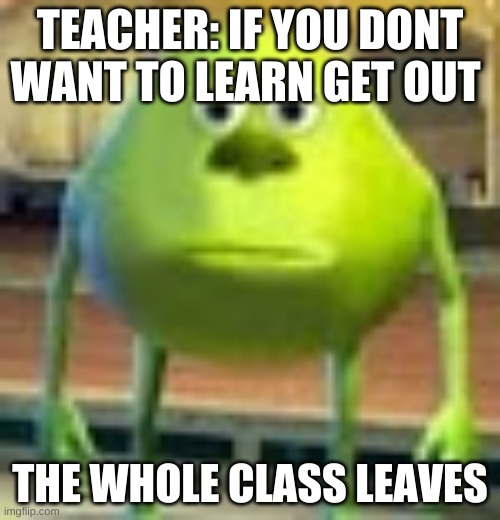 Sully Wazowski | TEACHER: IF YOU DONT WANT TO LEARN GET OUT; THE WHOLE CLASS LEAVES | image tagged in sully wazowski | made w/ Imgflip meme maker