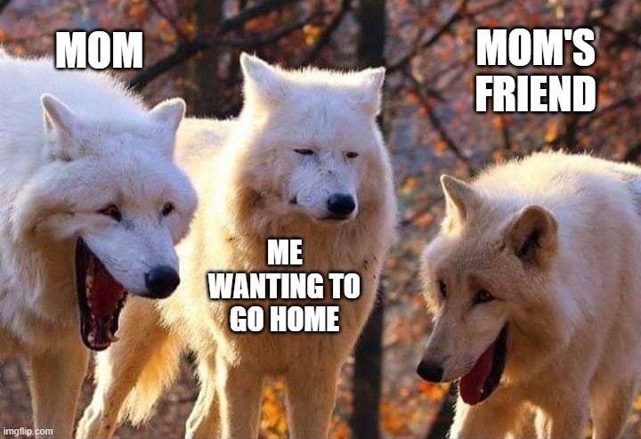 Laughing wolf | MOM'S FRIEND; MOM; ME WANTING TO GO HOME | image tagged in laughing wolf | made w/ Imgflip meme maker