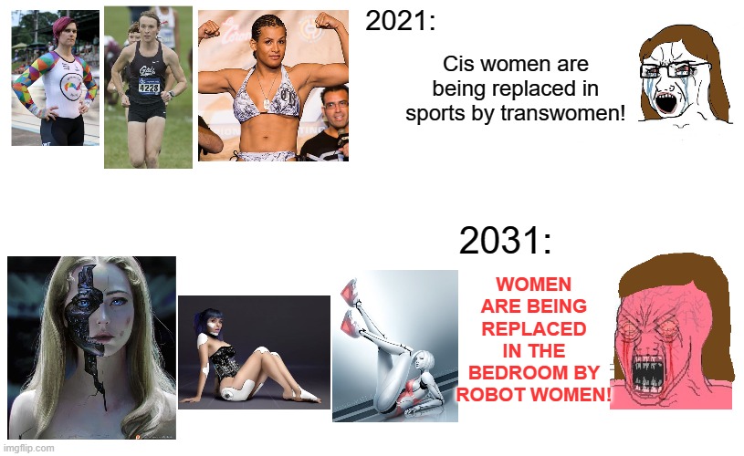 2021:; Cis women are being replaced in sports by transwomen! WOMEN ARE BEING REPLACED IN THE BEDROOM BY ROBOT WOMEN! 2031: | image tagged in memes,transgender,sports,women,robots,angry | made w/ Imgflip meme maker