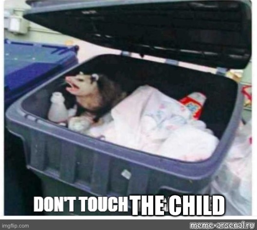 Don’t touch my garage | THE CHILD | image tagged in don t touch my garage | made w/ Imgflip meme maker