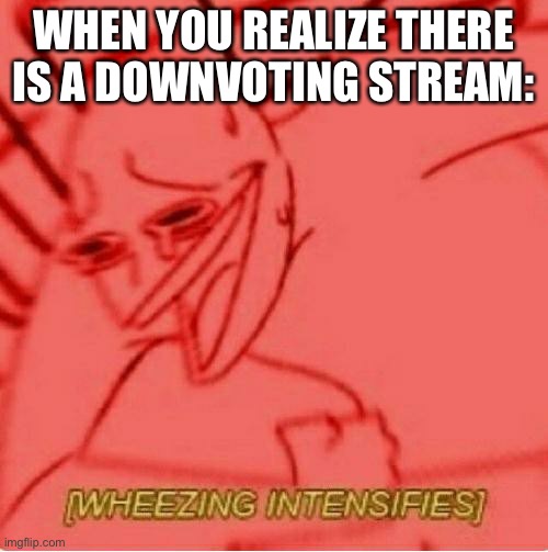 LOL | WHEN YOU REALIZE THERE IS A DOWNVOTING STREAM: | image tagged in wheeze,funny,downvotes | made w/ Imgflip meme maker