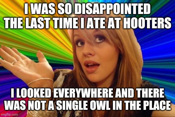 Dumb Blonde | I WAS SO DISAPPOINTED THE LAST TIME I ATE AT HOOTERS; I LOOKED EVERYWHERE AND THERE WAS NOT A SINGLE OWL IN THE PLACE | image tagged in memes,dumb blonde | made w/ Imgflip meme maker