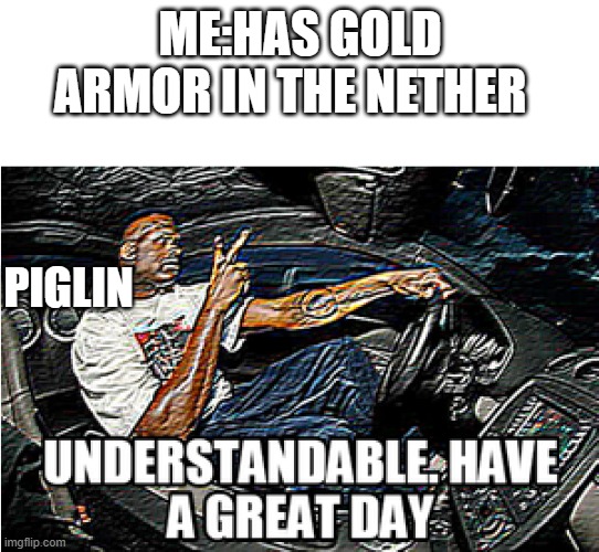 UNDERSTANDABLE, HAVE A GREAT DAY | ME:HAS GOLD ARMOR IN THE NETHER; PIGLIN | image tagged in understandable have a great day | made w/ Imgflip meme maker
