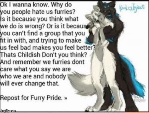 Not mine found it on the internet.  REPOST | image tagged in furry | made w/ Imgflip meme maker