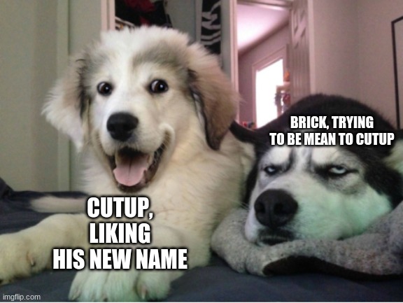i like cutup | BRICK, TRYING TO BE MEAN TO CUTUP; CUTUP, LIKING HIS NEW NAME | image tagged in clone wars,star wars | made w/ Imgflip meme maker