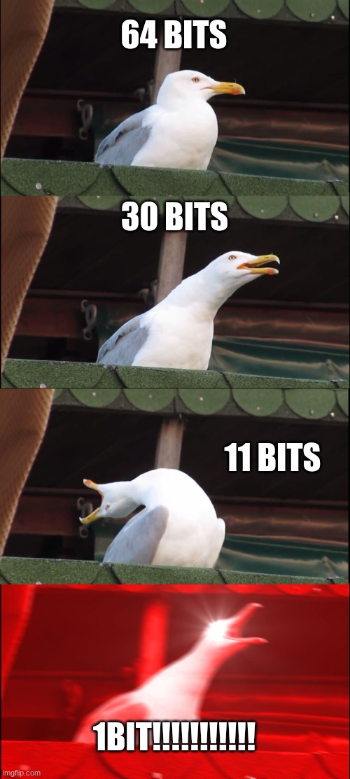 BITS!!!!!!!! | 64 BITS; 30 BITS; 11 BITS; 1BIT!!!!!!!!!!! | image tagged in memes,inhaling seagull | made w/ Imgflip meme maker