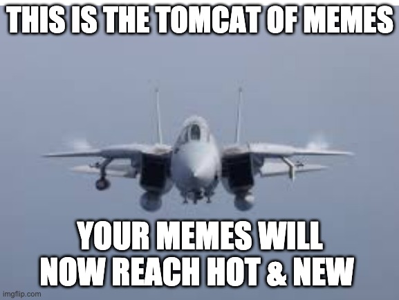 you have been blessed by the Tomcat of memes | THIS IS THE TOMCAT OF MEMES; YOUR MEMES WILL NOW REACH HOT & NEW | image tagged in memes,blessed,planes,good luck,minecraft | made w/ Imgflip meme maker