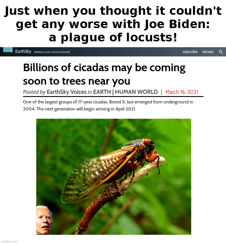 Up Next For Biden: A Plague of Locusts! | image tagged in joe biden,2021,cicada,bugs | made w/ Imgflip meme maker