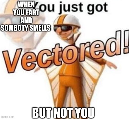 You just got vectored | WHEN YOU FART AND SOMBOTY SMELLS; BUT NOT YOU | image tagged in you just got vectored | made w/ Imgflip meme maker
