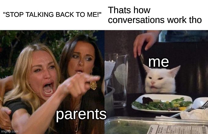 But thats how conversations work | "STOP TALKING BACK TO ME!"; Thats how conversations work tho; me; parents | image tagged in memes,woman yelling at cat | made w/ Imgflip meme maker