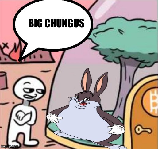 big chungus | image tagged in big chungus | made w/ Imgflip meme maker