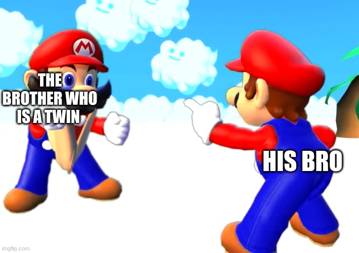 Mario’s pointing at each other | THE BROTHER WHO IS A TWIN; HIS BRO | image tagged in mario s pointing at each other | made w/ Imgflip meme maker