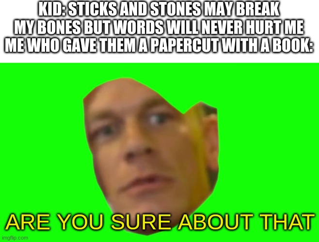 Hmmmm. | KID: STICKS AND STONES MAY BREAK MY BONES BUT WORDS WILL NEVER HURT ME
ME WHO GAVE THEM A PAPERCUT WITH A BOOK:; ARE YOU SURE ABOUT THAT | image tagged in are you sure about that cena | made w/ Imgflip meme maker