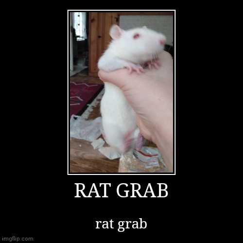 image tagged in funny,demotivationals | made w/ Imgflip demotivational maker